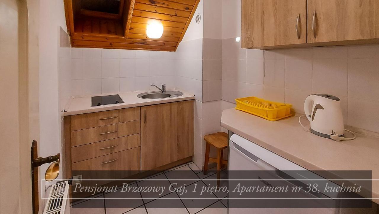 Brzozowy Gaj - Pensjonat Karpacz Exterior foto