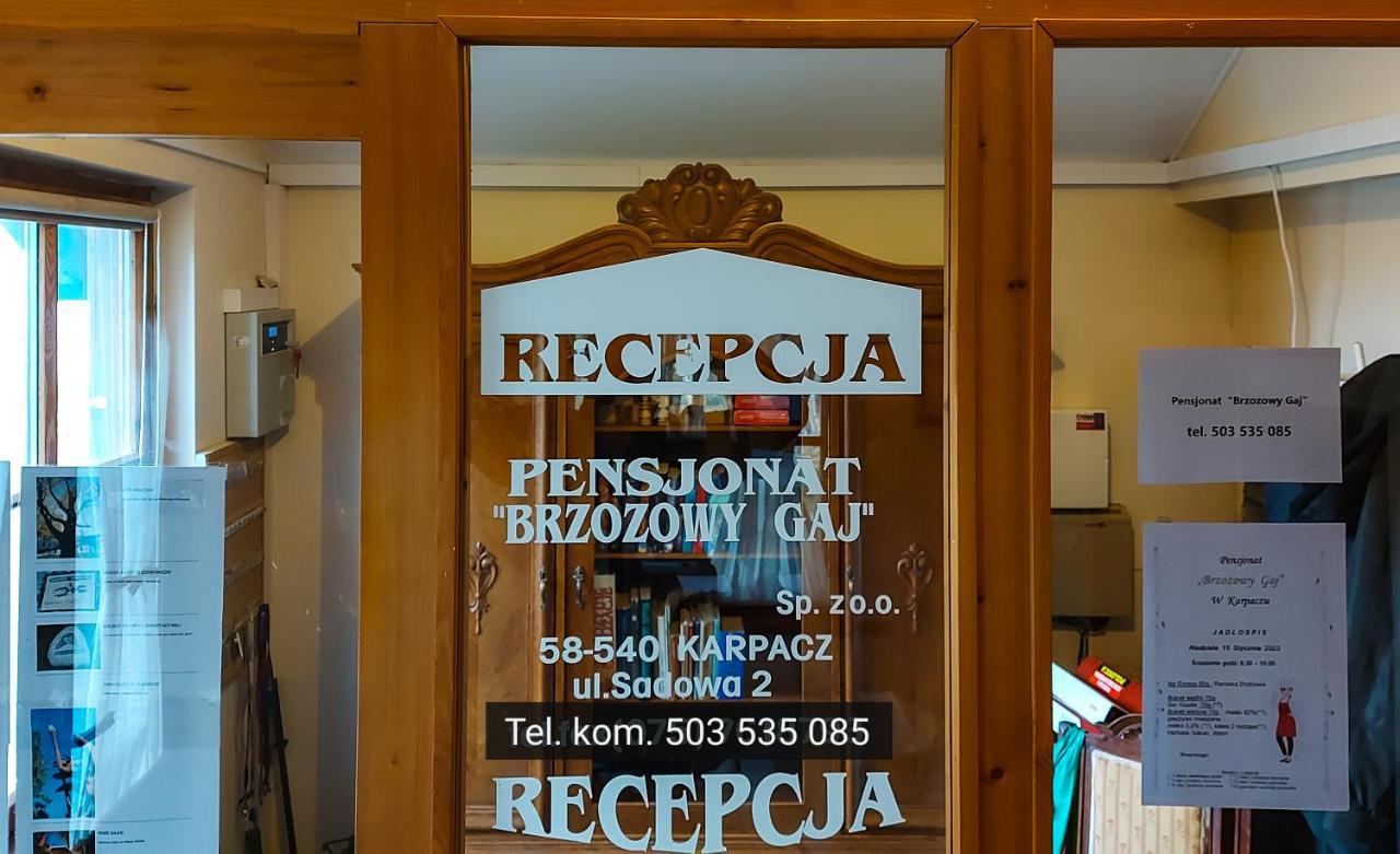 Brzozowy Gaj - Pensjonat Karpacz Exterior foto